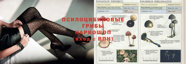 трава Алексин