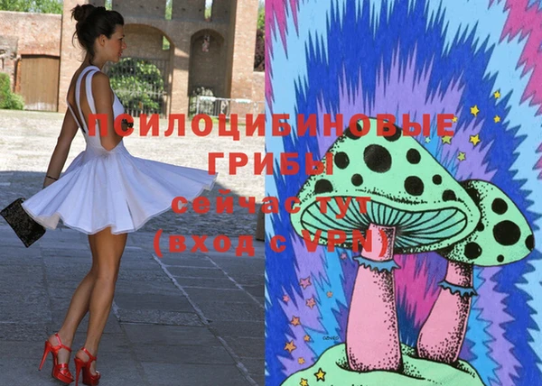ГАЛЛЮЦИНОГЕННЫЕ ГРИБЫ Абдулино