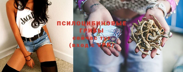 mix Абаза