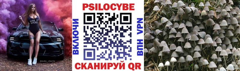 Псилоцибиновые грибы мухоморы  KRAKEN зеркало  маркетплейс как зайти  Одинцово 