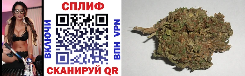 Каннабис SATIVA & INDICA Одинцово